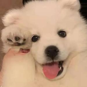 拔萝卜高潮动漫观看完整版大结局
